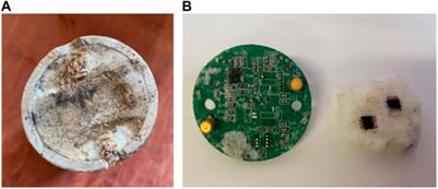 The protective performance of rubber pads for penetration fuze